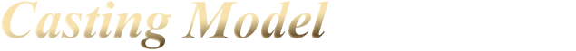 Casting Model ベーシックモデルをベースにベイトフィネス、パワーゲームスタイルまで対応。