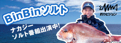 BinBinソルト