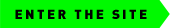 ENTER THE SITE