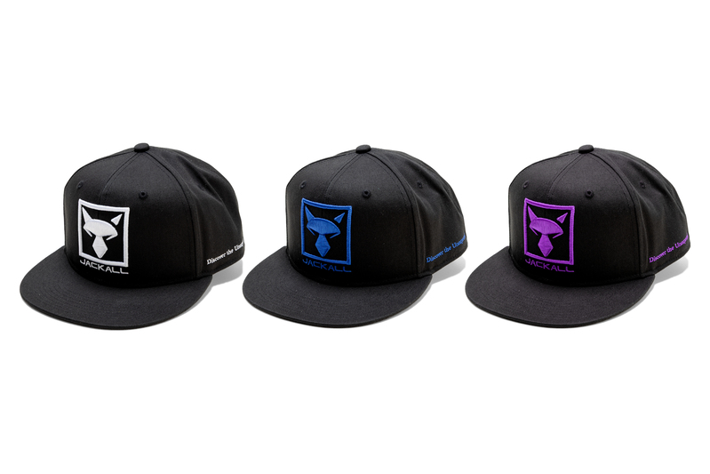 BIG-LOGO-CAP-3色.jpg