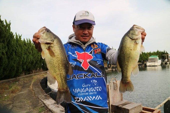 32349375_2018684178400024_5744933879874060288_n