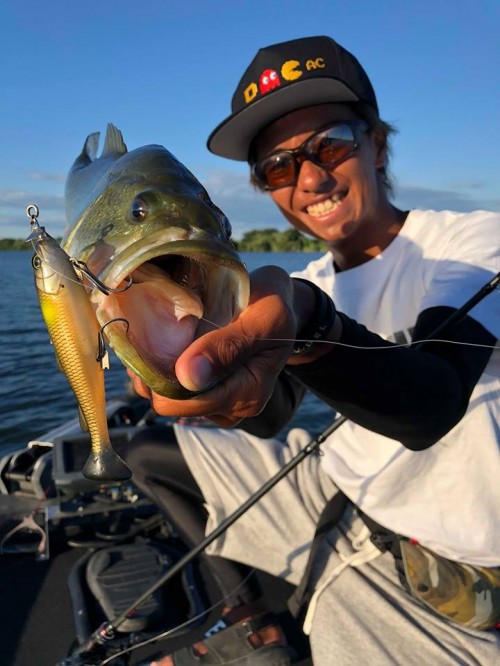 38781025_1330858893717742_6677412000420593664_n