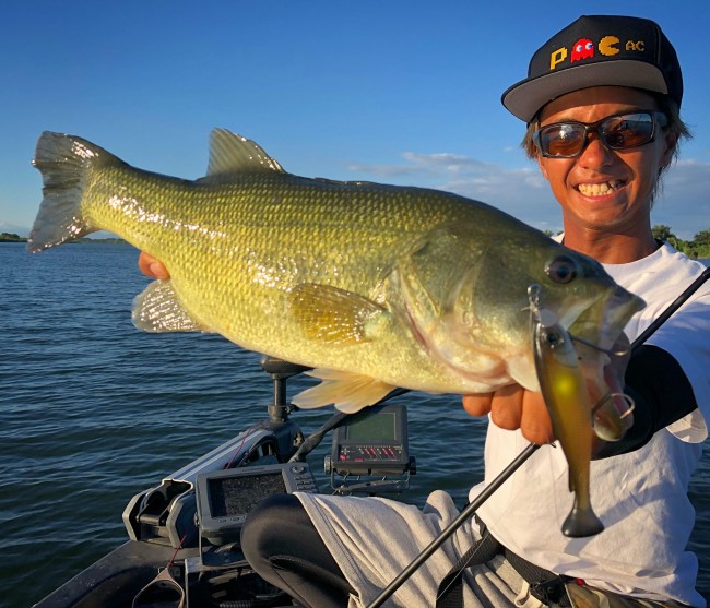 38810923_276326213152617_5331537762896052224_n