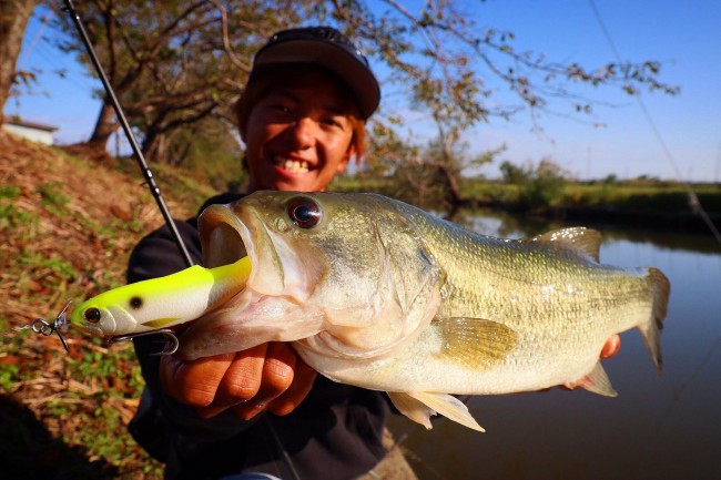 44566969_678191109231703_7946296466673238016_n