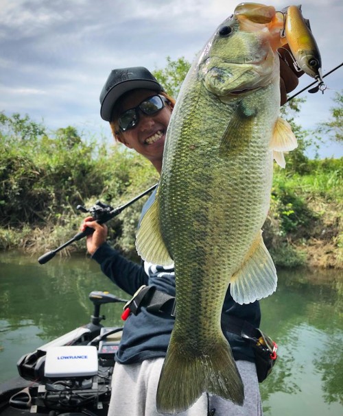 44683142_1961929190595343_1964636212920582144_n