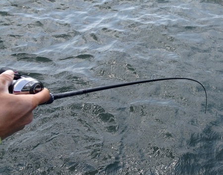 今月から右腕となった Nero NC-610M。 - FRESH WATER バス釣り 