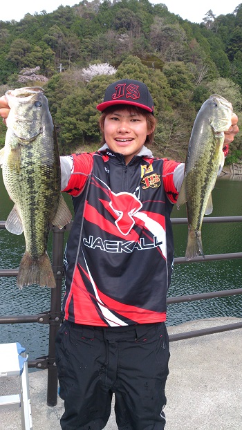 Jbトップ50第1戦早明浦ダム デビュー戦レポート Fresh Water バス釣り Jackall ジャッカル ルアー