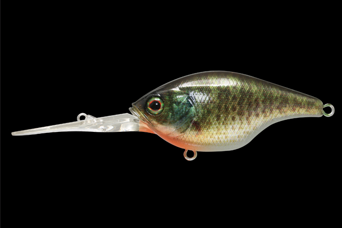 琵琶湖でデラクー祭り/南一貴 - FRESH WATER バス釣り ｜JACKALL｜ジャッカル｜ルアー F-199 ジャッカル ギルクラ（※バラ売りNG）