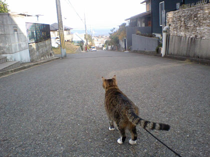 20081215-くまちゃん1.JPG