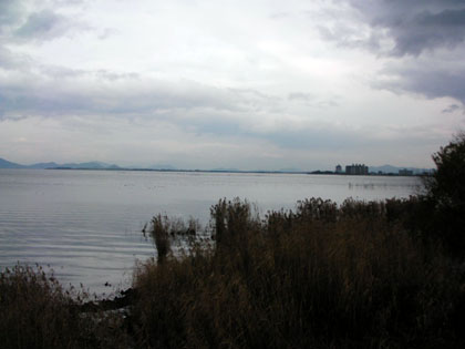20081223-琵琶湖.jpg