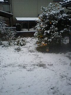 20090111-中島雪.jpg