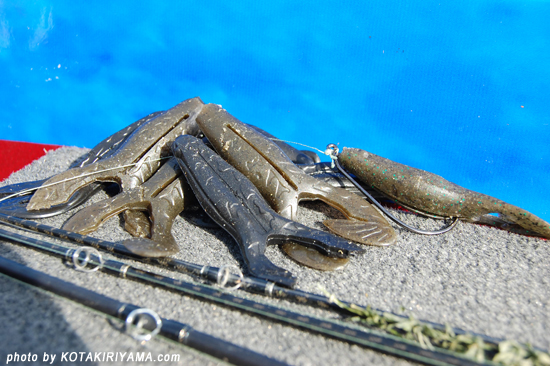 サンジのパパ BOSSJACK zerozero ボスジャック ビッグバスに強烈アピール!!XENOBUZZ(ゼノバズ)登場 - FRESH