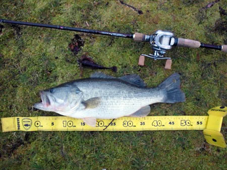 ジャッカル・ポイズンヘリテージ・パワーインチワッキーHS−68L-IW中古品 ジャッカル ポイズン・ヘリテージ | 釣用品のプロショップ「米源