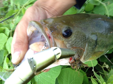 専用　　トランポ　610M マスターストローク　2ピース　ジャッカル 専用 トランポ 610M マスターストローク 2ピース ジャッカル