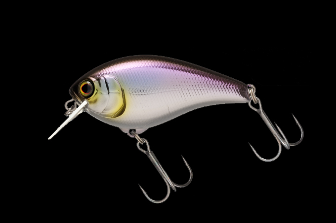 J1ドリームマッチ2013イベントに関する注意点