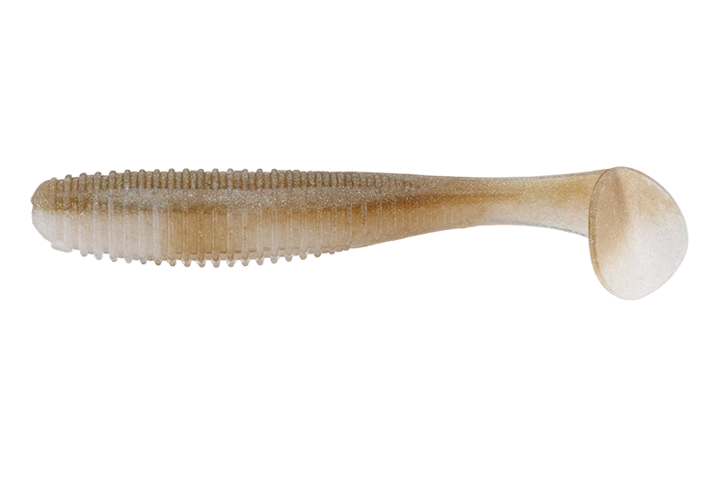 生ワカサギ