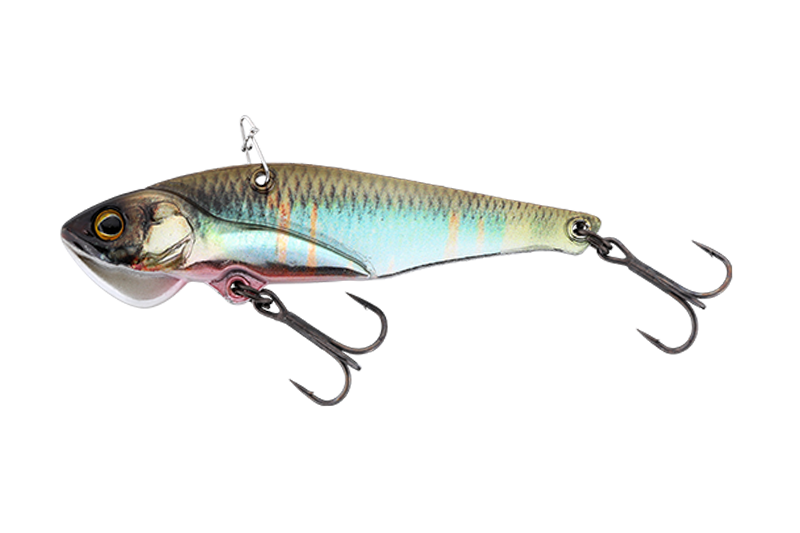 RTオイカワオス