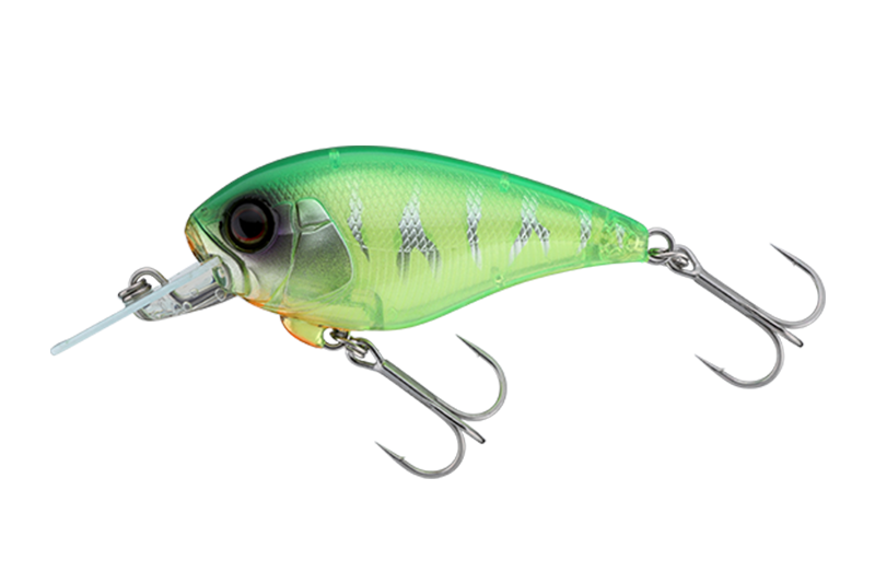 ライムバックチャートタイガー