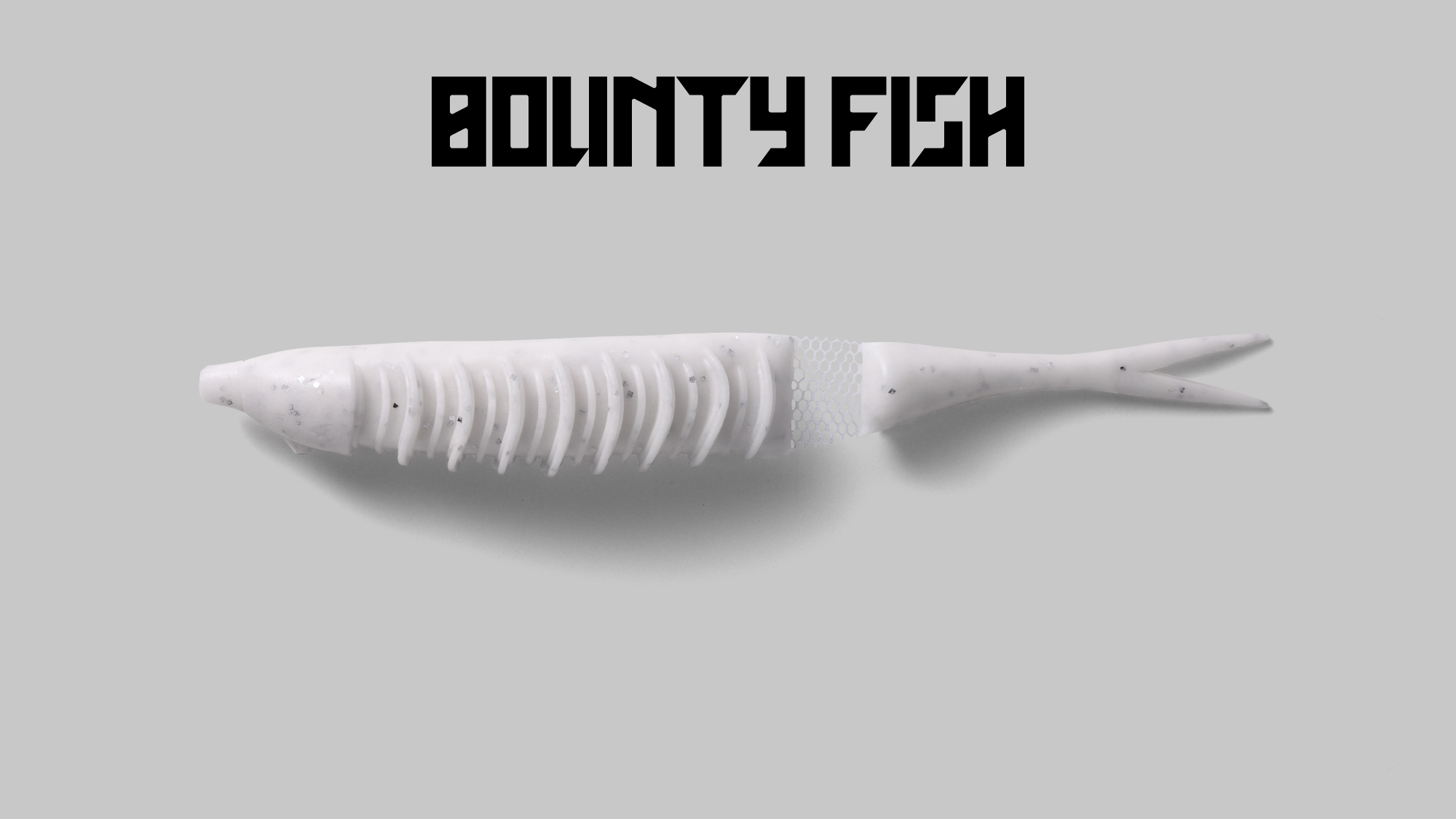 バウンティーフィッシュ BOUNTY FISH / バウンティーフィッシュ