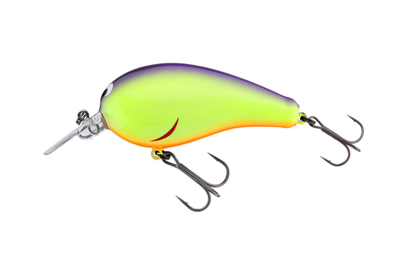 パープルモヒカン