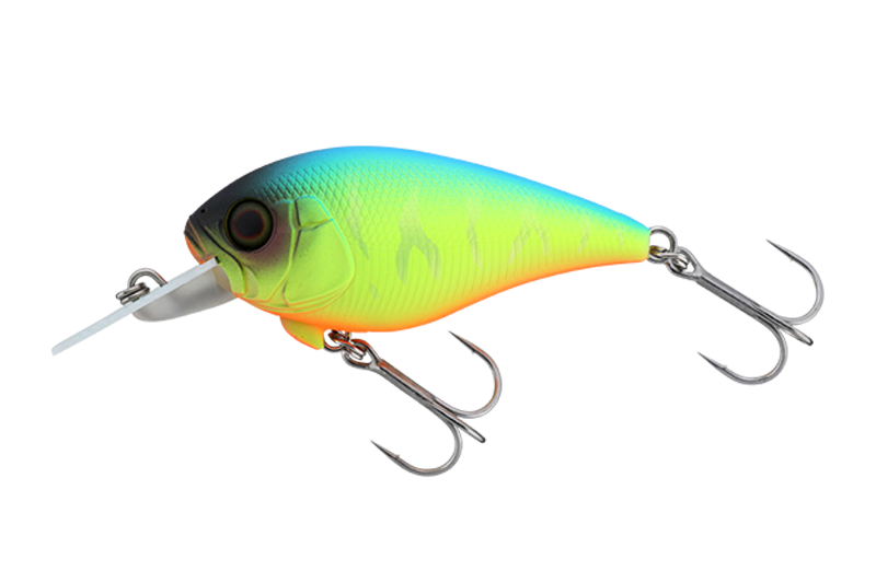 ブルーバックチャートタイガー