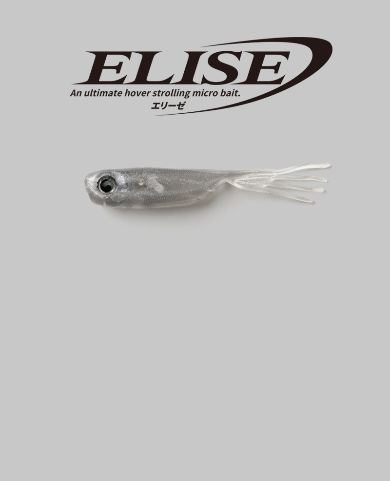  ELISE 1.5″ /エリーゼ