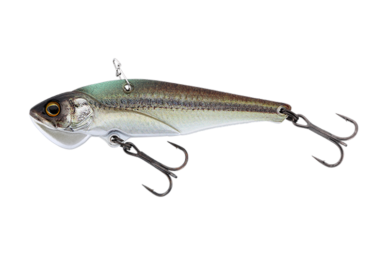 RTスーパーモロコ