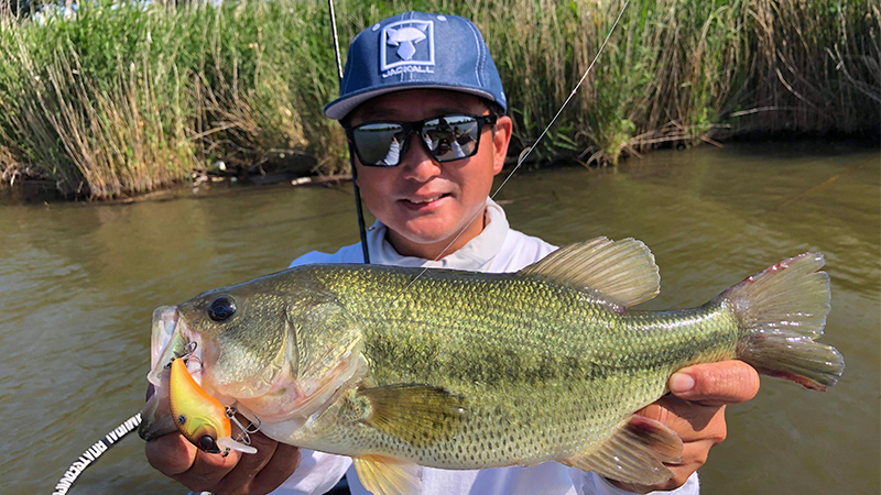 初夏の霞ヶ浦水系を攻略するヒントは”中層の小型クランクベイト”にあり