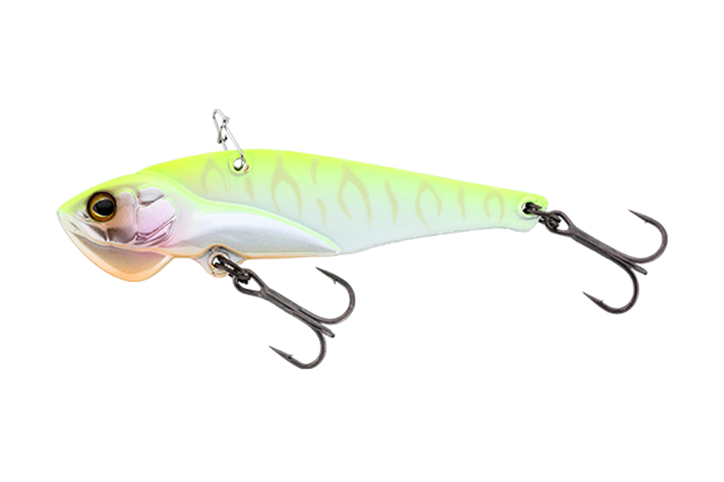 パールチャートタイガー