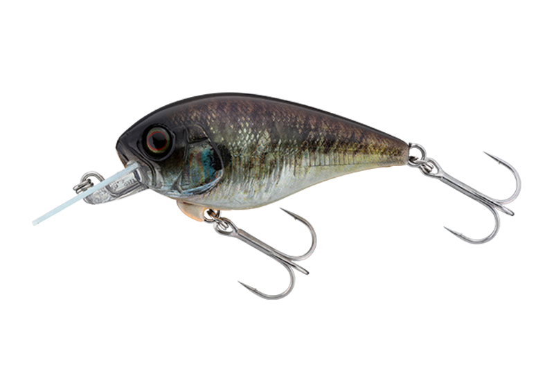 RTエスケープギル