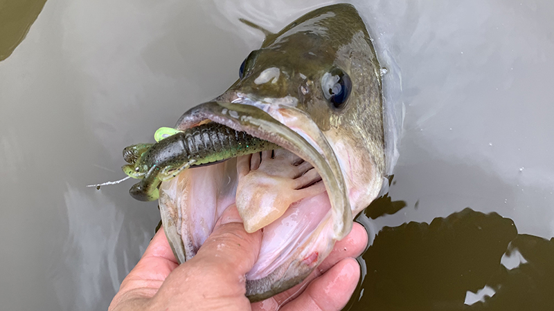 カバークローグランデは春の浮きカバー攻略の強い味方