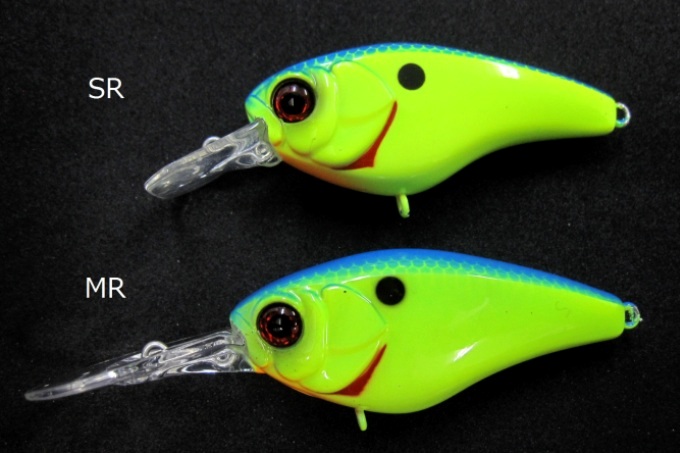 この時期に欠かせない、マグスカッド128で50UP ‼