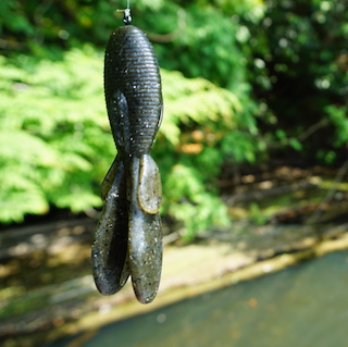 「西村ワーム」とは5個のパーツの集合体