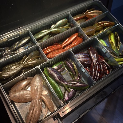 「西村ワーム」は２サイズ展開 ＆ FECO商品（予定）