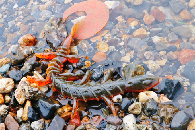 加藤誠司が手掛ける新アイテム、「シザード」とは。