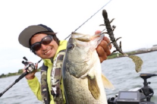 NEWコンセプトワーム″シザード“