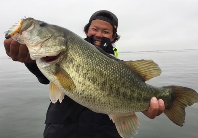 来年も走り回ります！