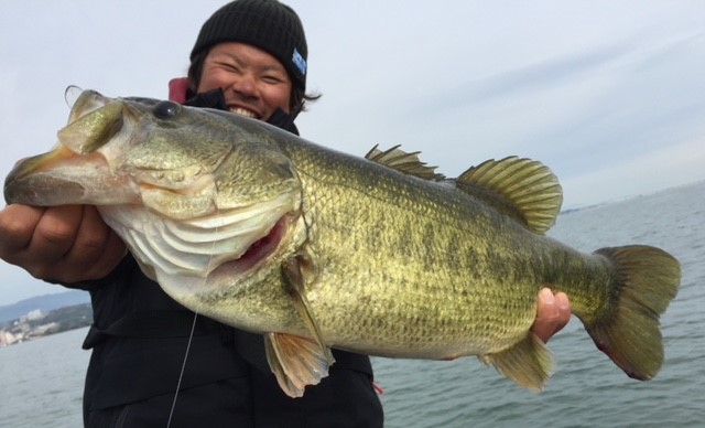 ソウルシャッド 真冬のデカバスハント