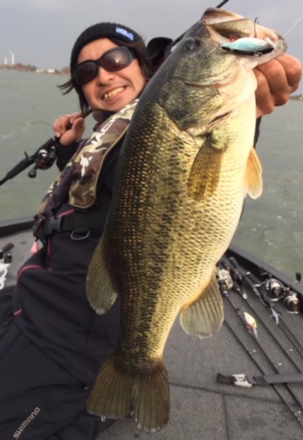 トリゴン50で真冬の巻物ゲーム