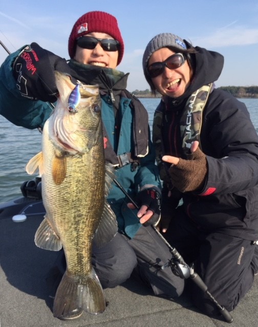 状況を読んだルアーローテーションを