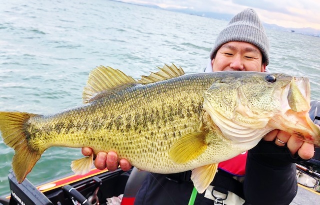 トリゴンでボトム攻略