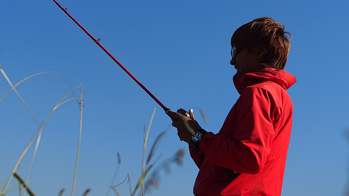 BPM 2PCモデルがついに登場します。