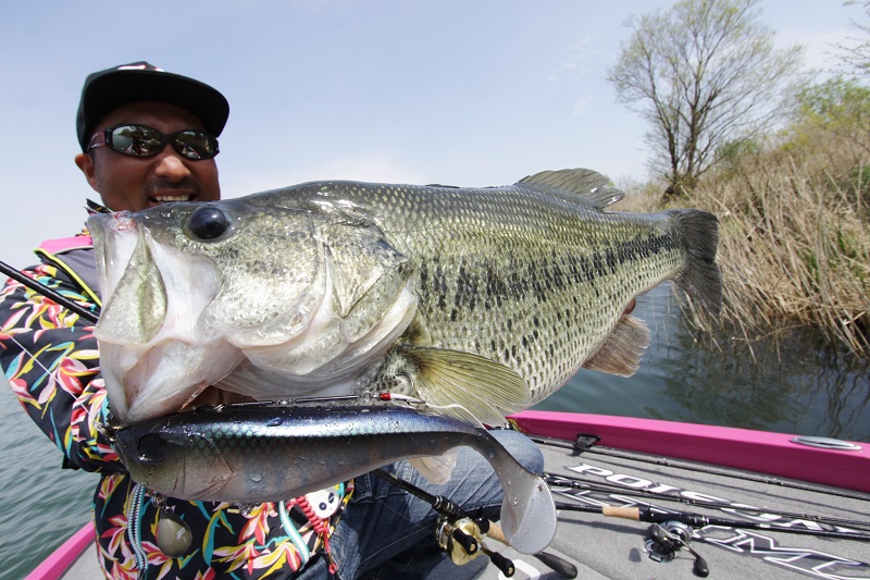 ダンクル5″/7″に新色登場