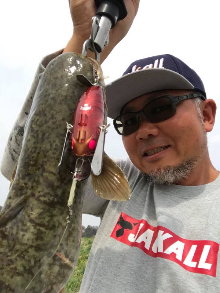 山戸田恵一プロ/イベント情報