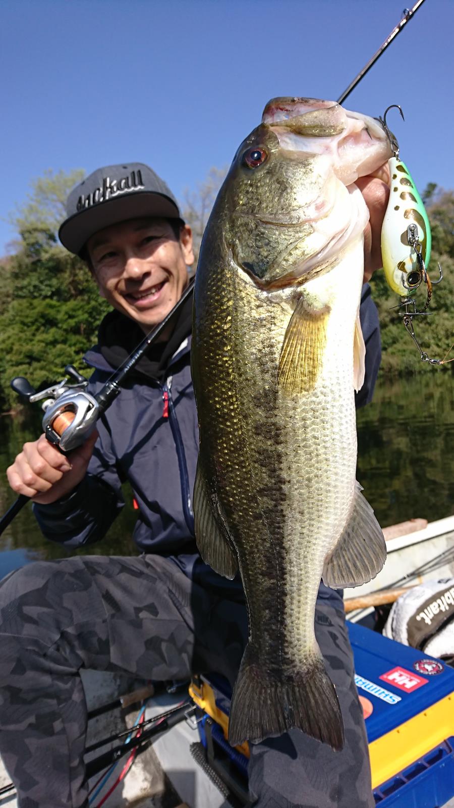 チョップカットで先取りTOP