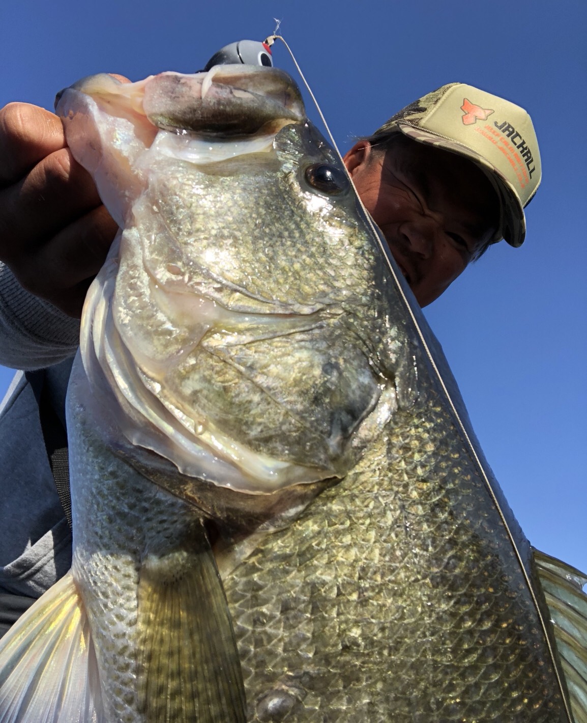 炸裂 ボトラーグリンチ