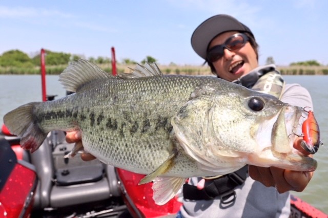「TNトリゴンハイスピード戦略」動画公開