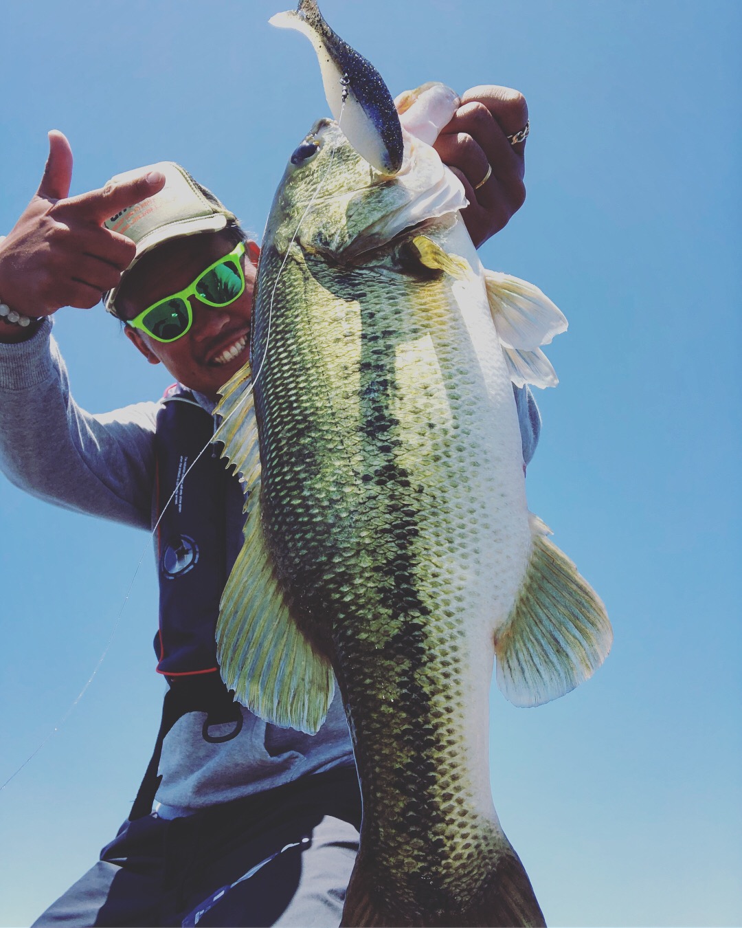 デッドフィンダーターの季節到来