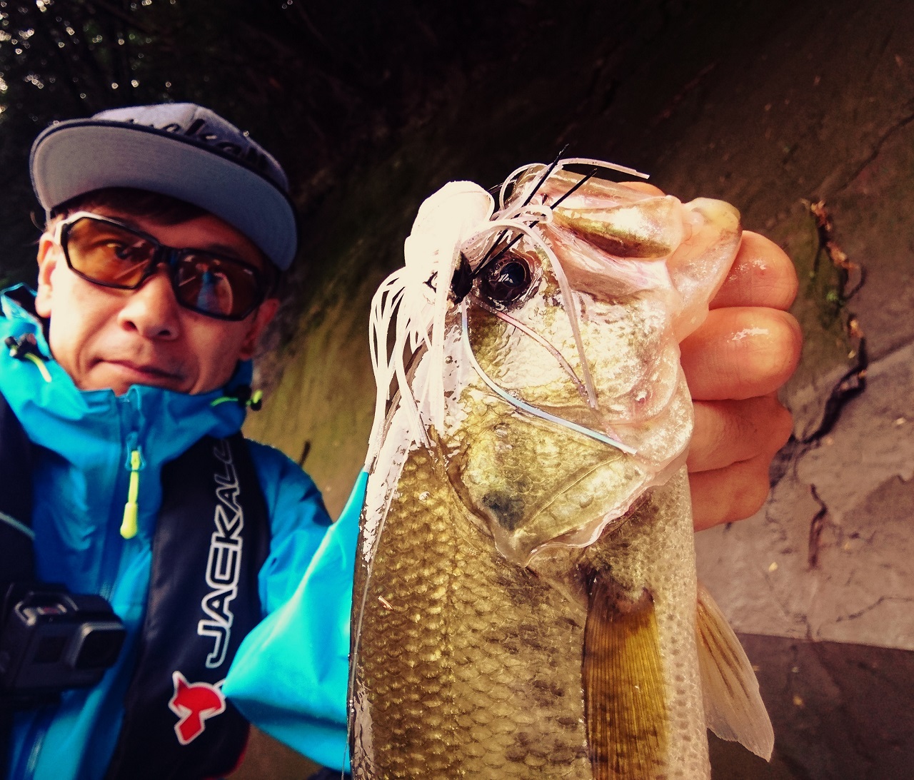 全層攻略ビークロールスイマー