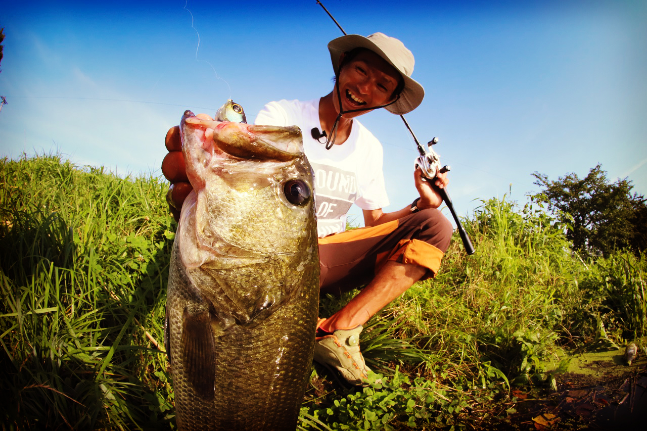 ちっちゃいデラボール